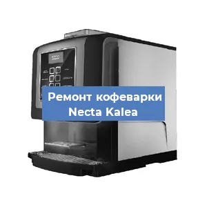 Чистка кофемашины Necta Kalea от накипи в Красноярске